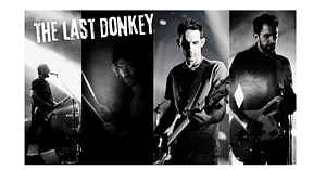 Copie de The Last Donkey banner couleur