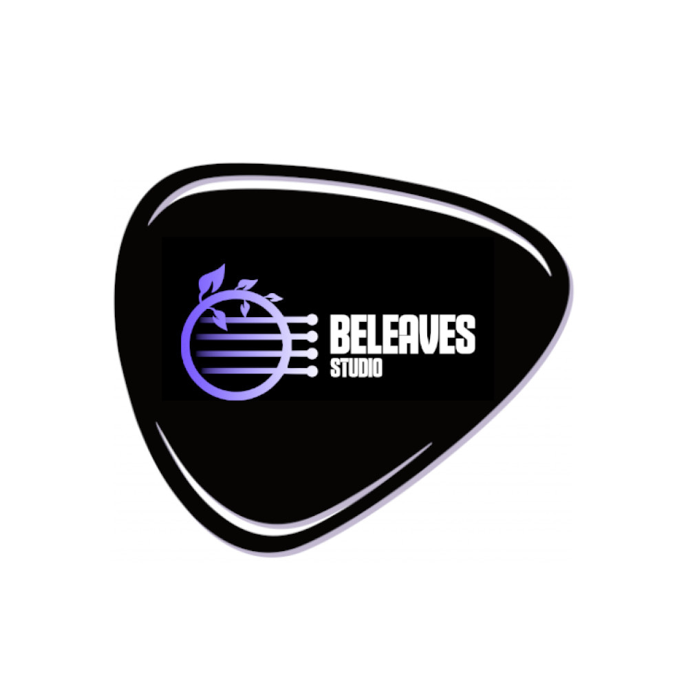 Beleaves Studio partenaires